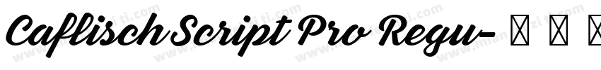 Caflisch Script Pro Regu字体转换